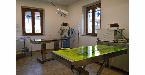 Studio Veterinario FISIOVET Massa e Cozzile di Montecatini Terme (Pistoia) - Sala Visite Veterinarie - Sala operatoria
