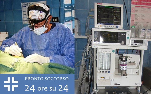 Ospedale Veterinario Ardenza (LIVORNO) - Tel. 0586504403 - Veterinario Livorno - Consigliato da TuttoCani.it
