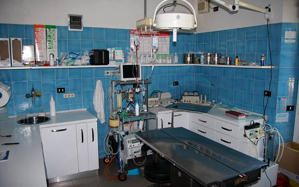 Ospedale Veterinario Ardenza (LIVORNO) - Tel. 0586504403 - Sala operatoria per interventi chirurgici su Cani, Gatti e Animali Esotici